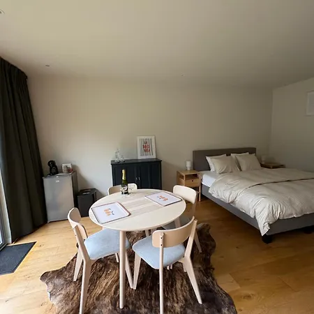 Apartment Cozy Guestroom Near Center *